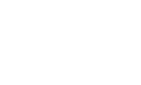 DataMax Projector